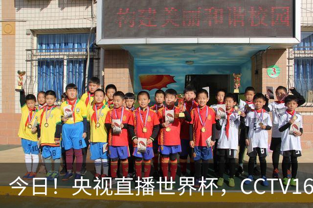 今日！央视直播世界杯，CCTV16转中超，网络转大连鲲城+可为+U17中国男篮+F1等