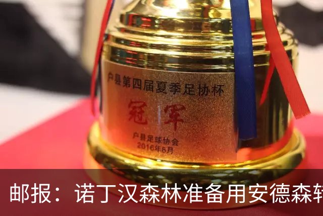 邮报：诺丁汉森林准备用安德森转会费引援，补强锋线和中场